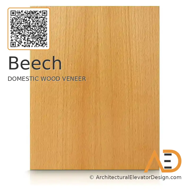 Beech