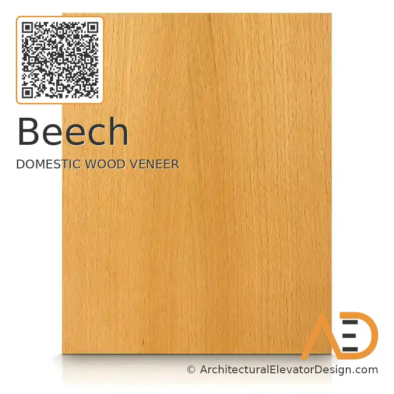 Beech