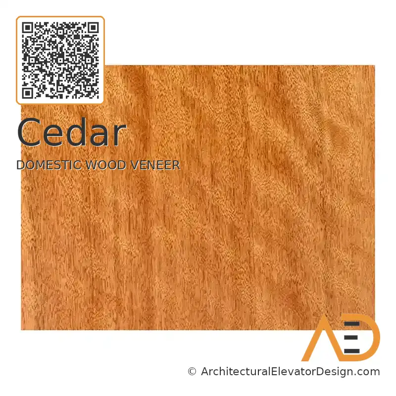 Cedar
