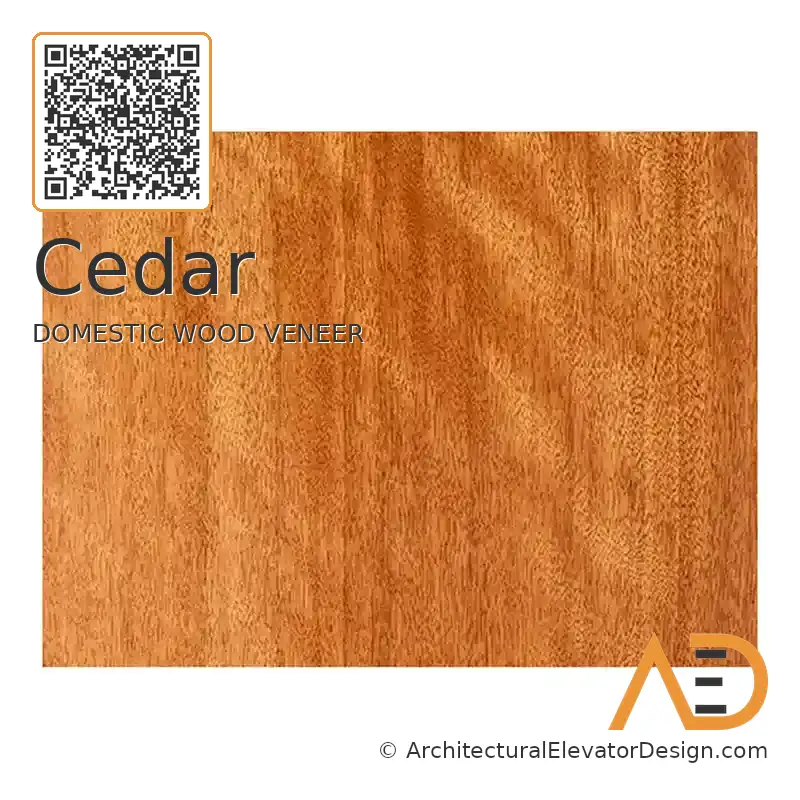 Cedar