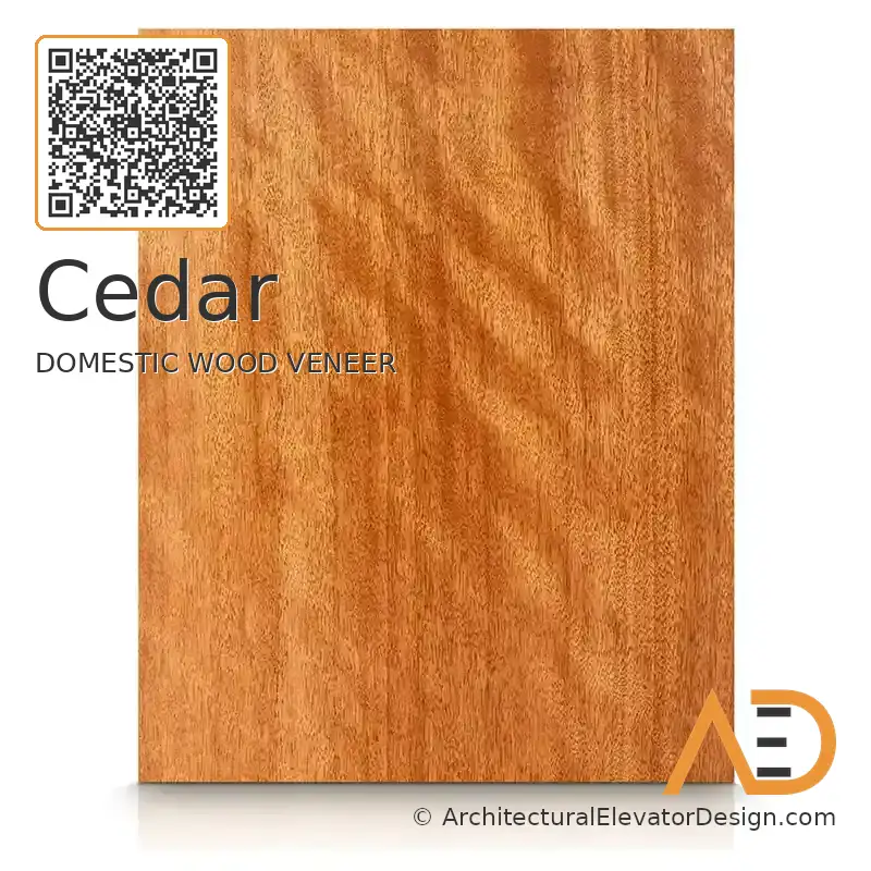 Cedar