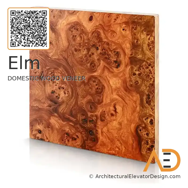 Elm