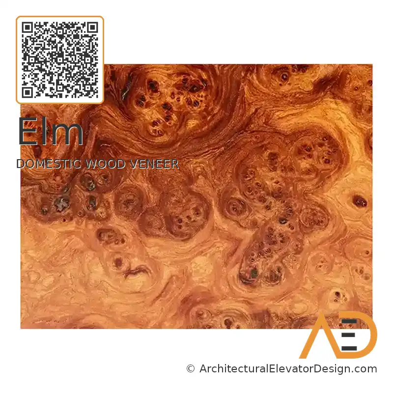 Elm