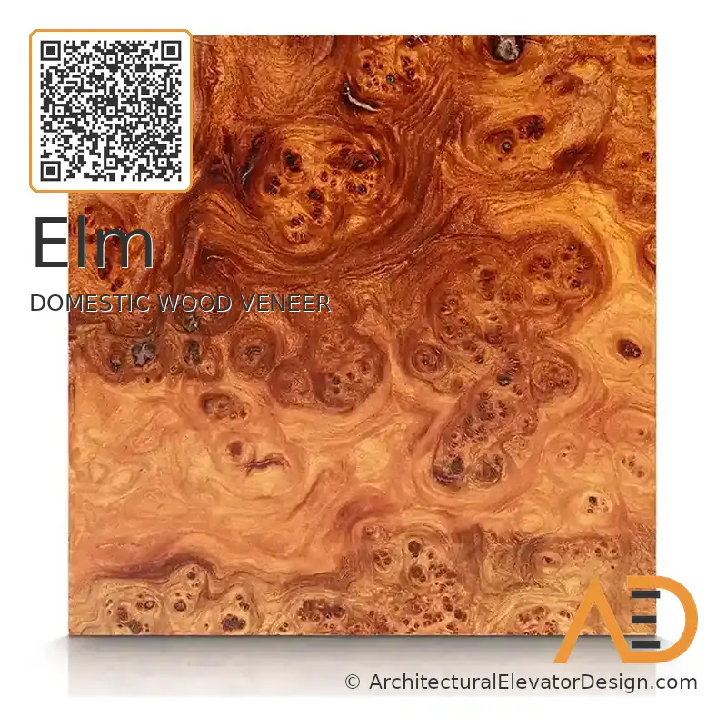 Elm