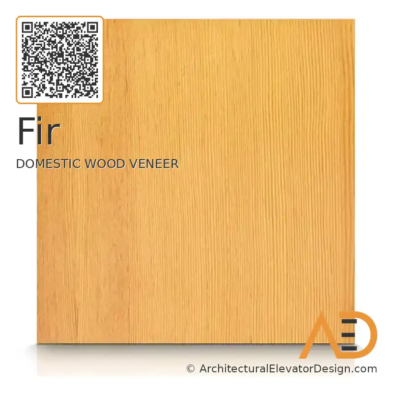 Fir