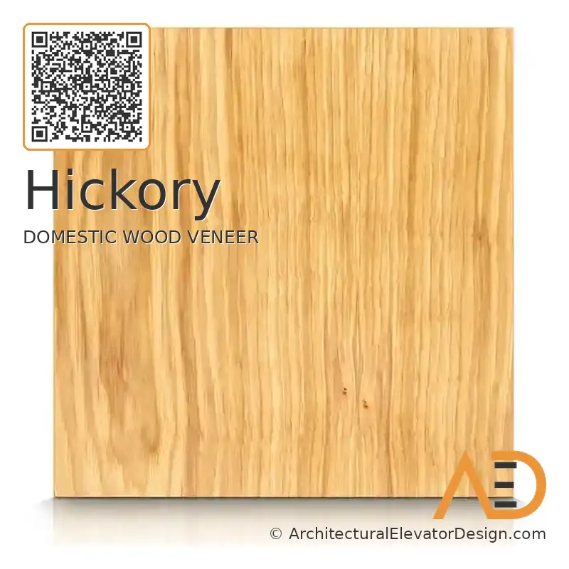 Hickory
