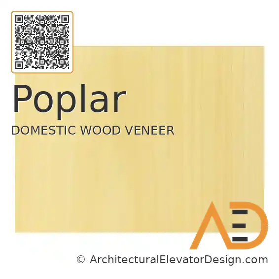 Poplar