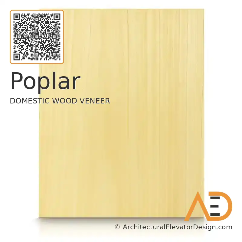 Poplar