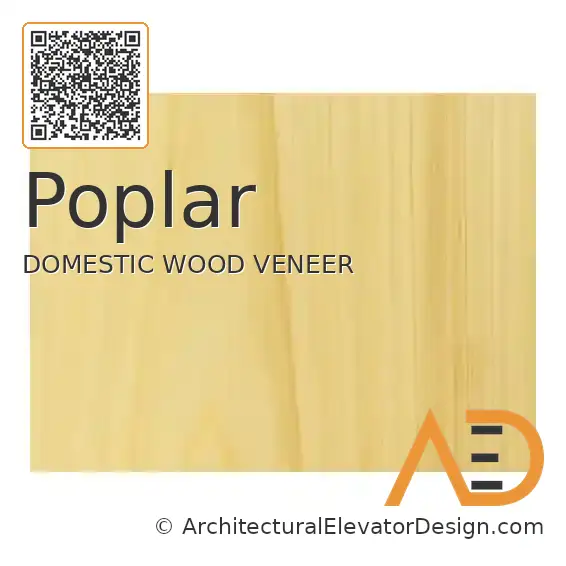 Poplar