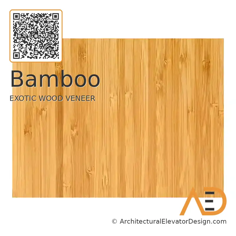 Bamboo