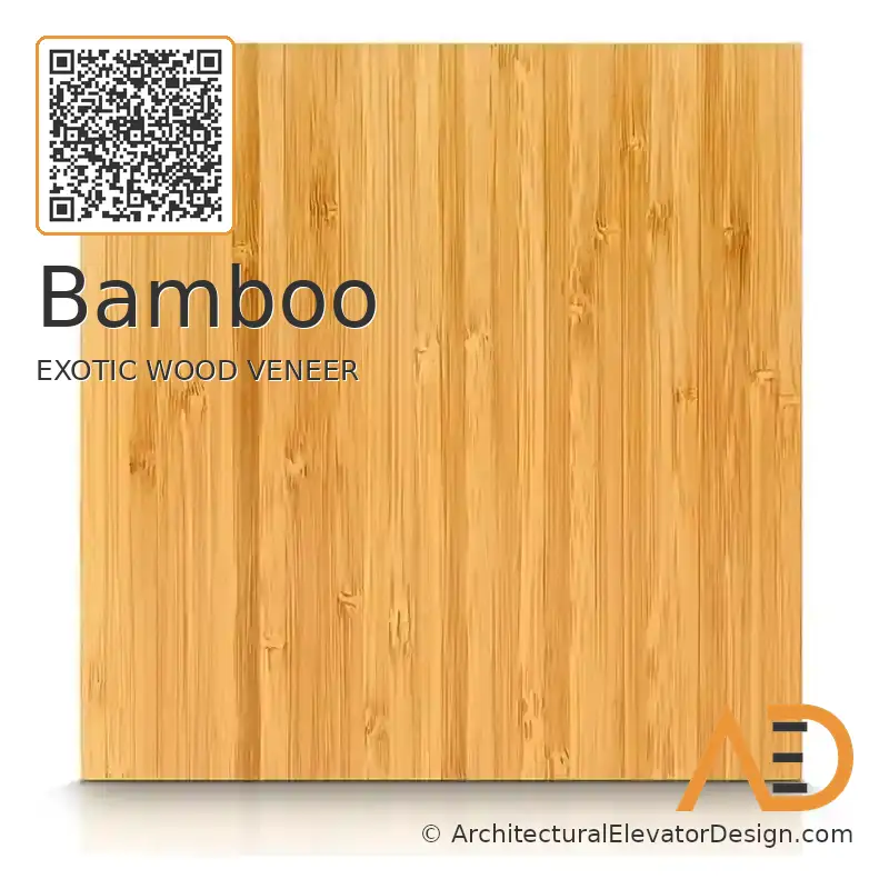 Bamboo