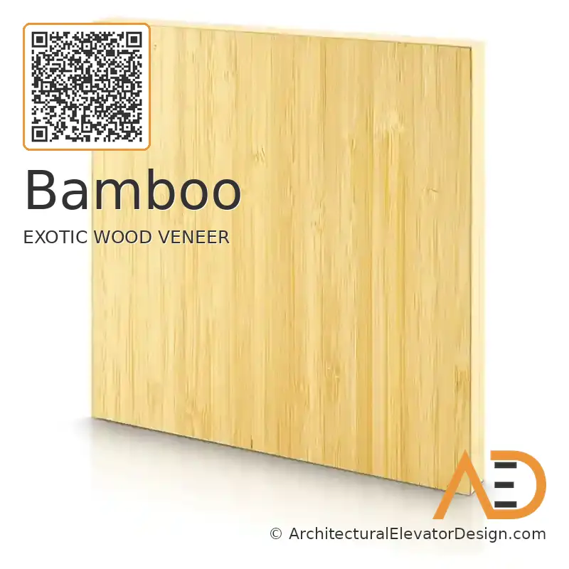 Bamboo