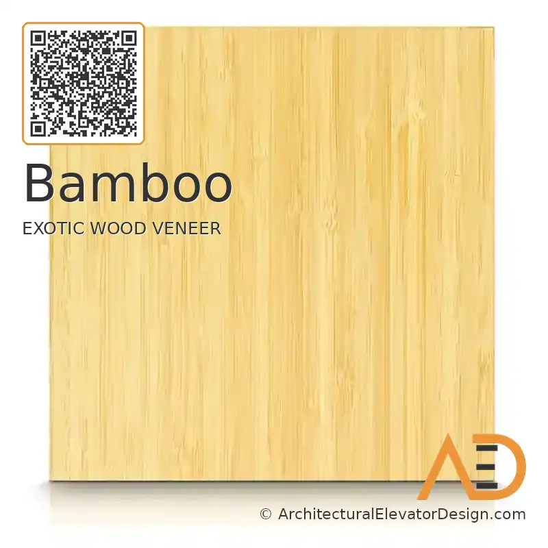 Bamboo