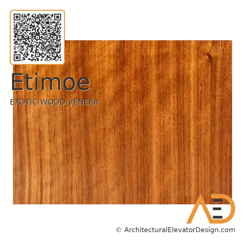 Etimoe