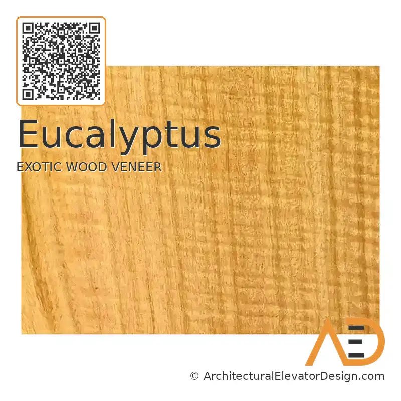 Eucalyptus