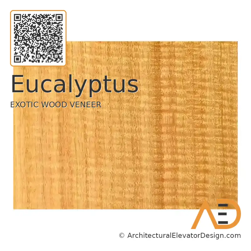 Eucalyptus