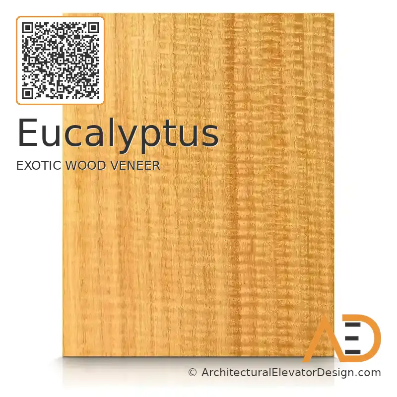 Eucalyptus
