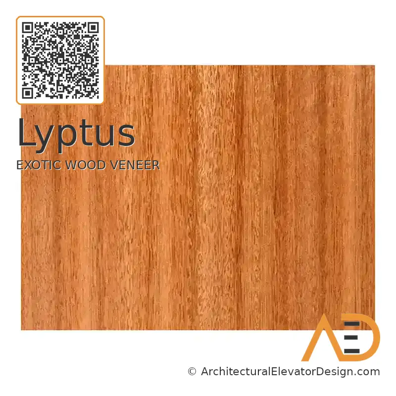 Lyptus