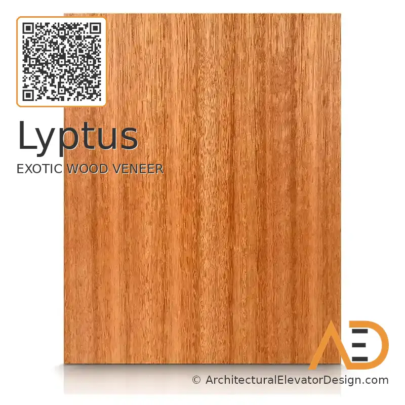 Lyptus
