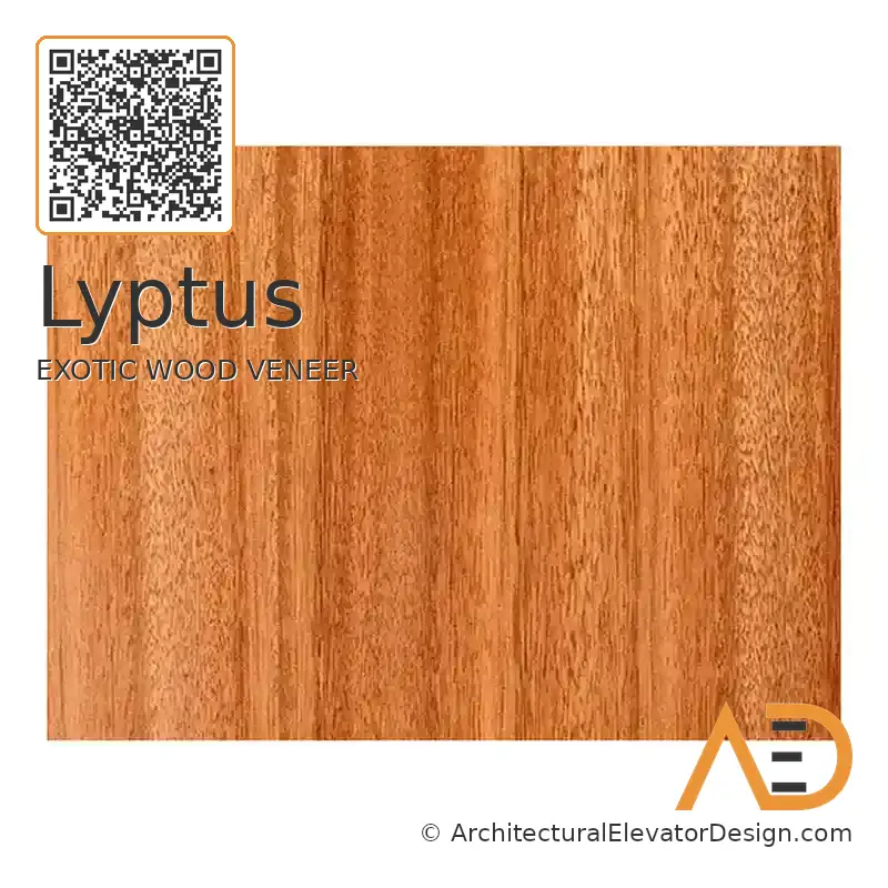Lyptus