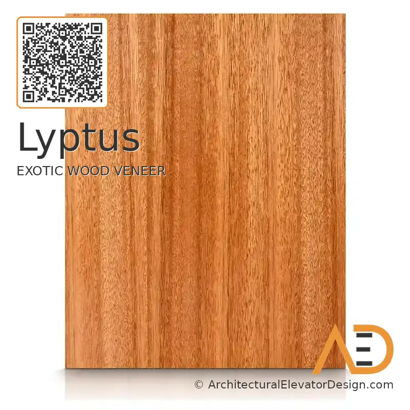 Lyptus