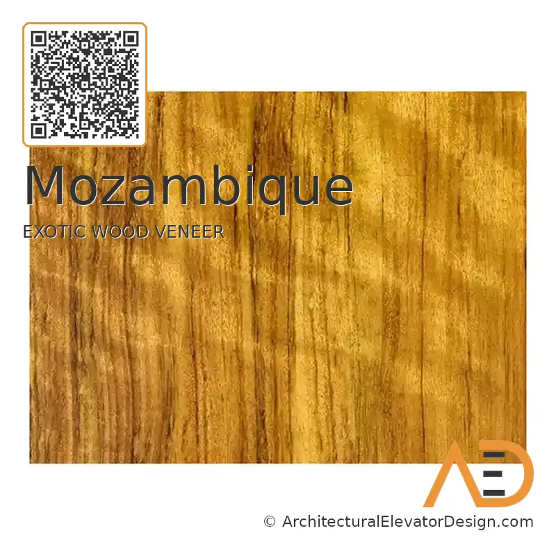 Mozambique