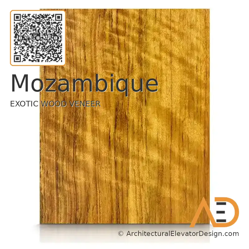 Mozambique