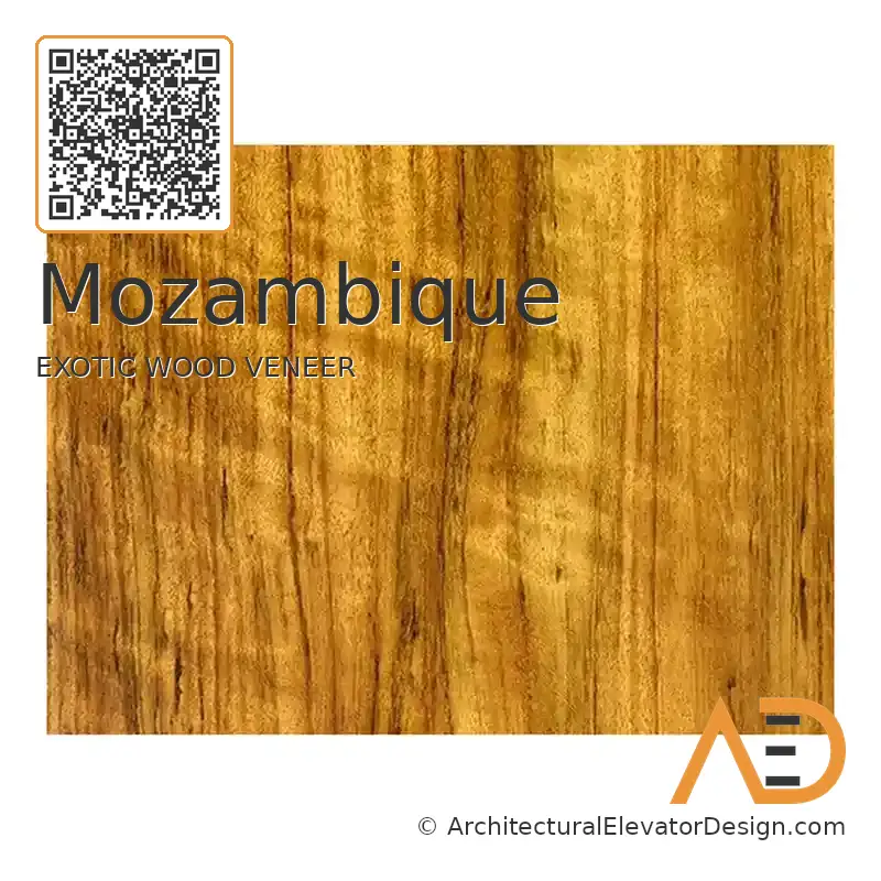 Mozambique