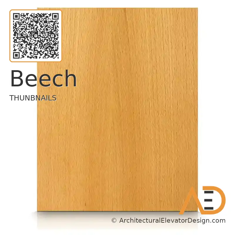 Beech