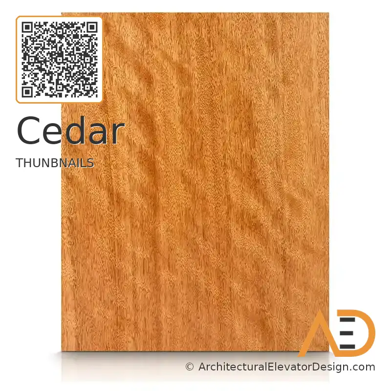 Cedar