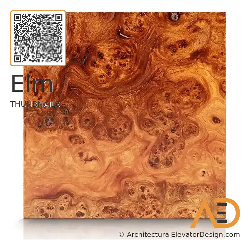 Elm