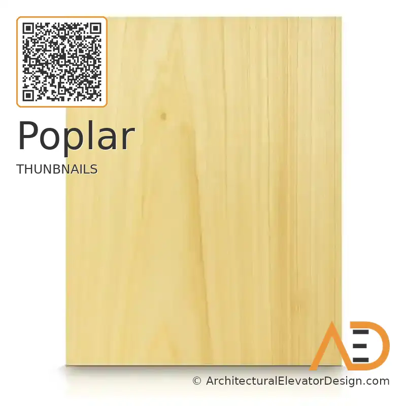 Poplar