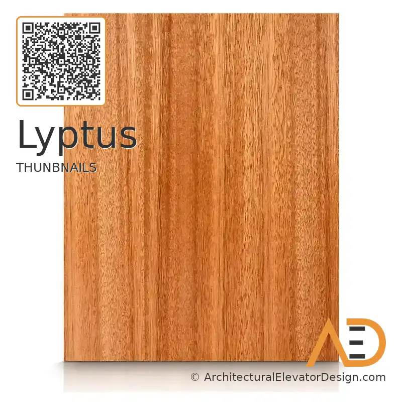 Lyptus