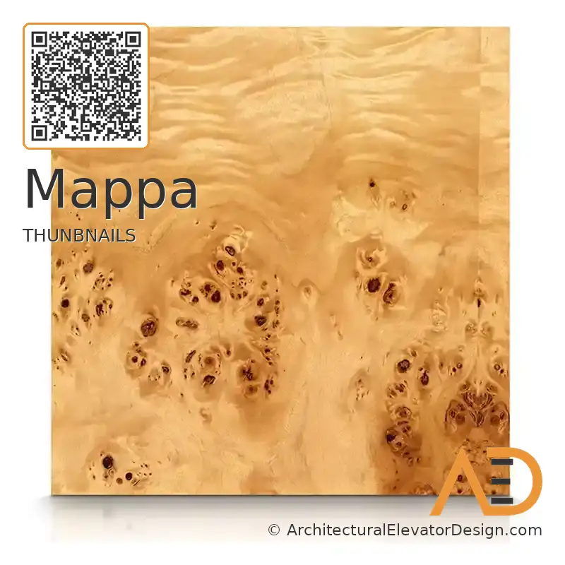 Mappa