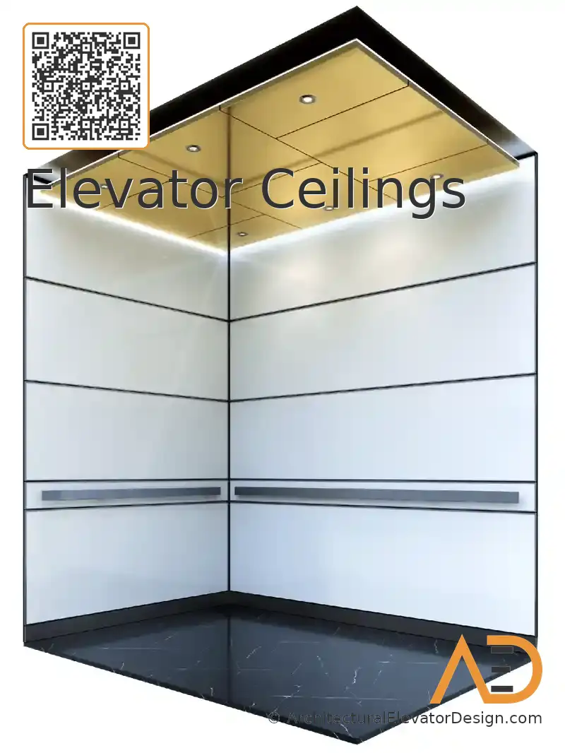 8-field-8-mirrored-stainless-elevator-ceiling-4