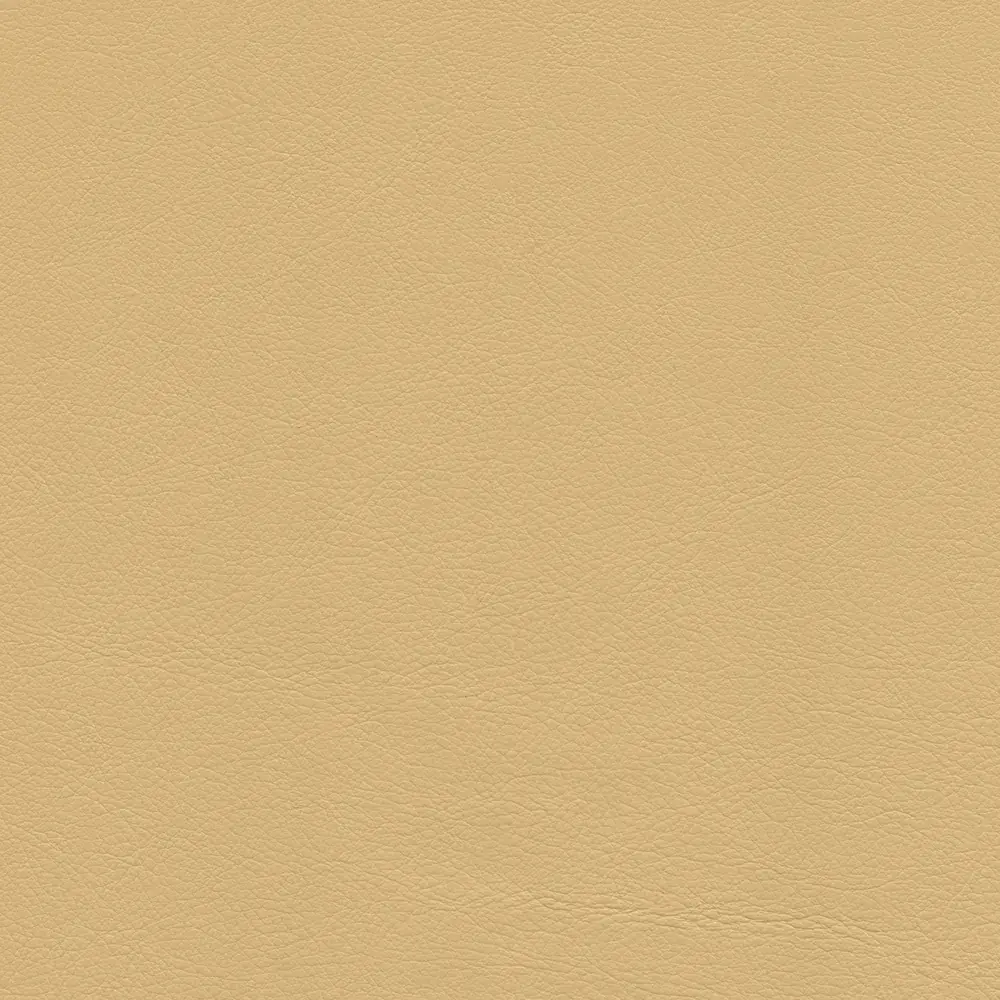 Sand leather elevator interior wall panels